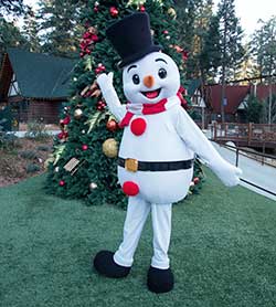 Northwoods Characters - Frosty the Snowman - SkyPark at Santa