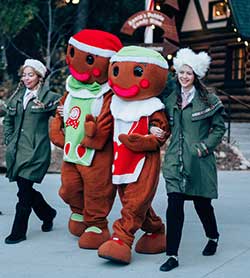 Snap & Crumbles - The Gingerbread Men - Northwoods Characters - SkyPark at Santa