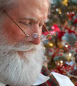 Northwoods Characters - Santa Claus - SkyPark at Santa